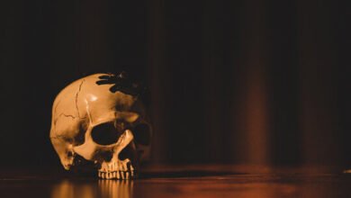 Beautiful:64kuslak274= Scary Pictures