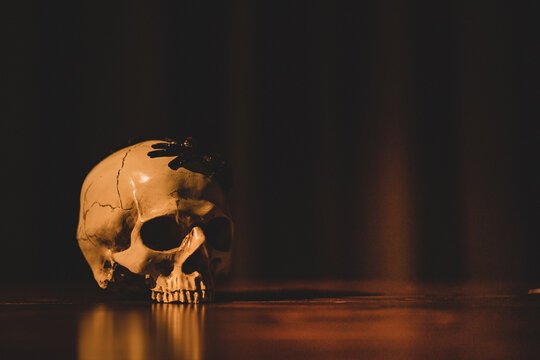 Beautiful:64kuslak274= Scary Pictures