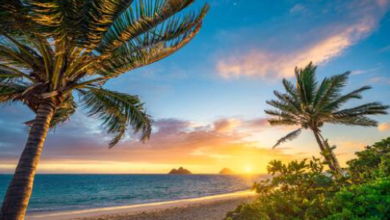 Beautiful:33jdsrhhc5w= Hawaii